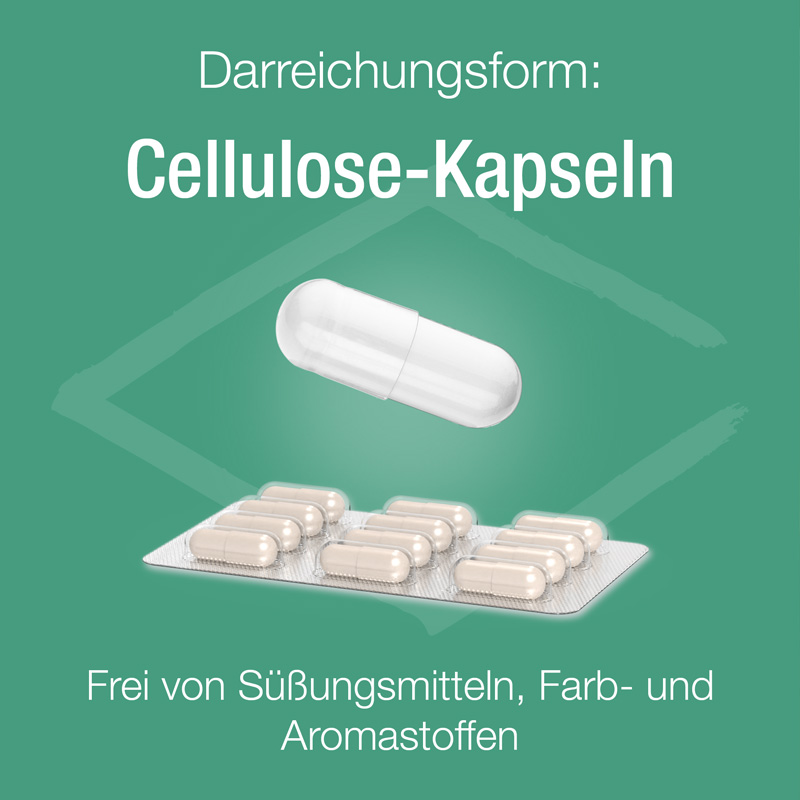 Zink Verla C purKaps 30 St Kapseln