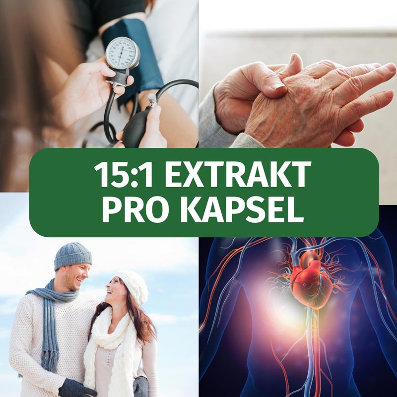 GREEN NATURALS Schwarzer Knoblauch 600mg 180 St Kapseln