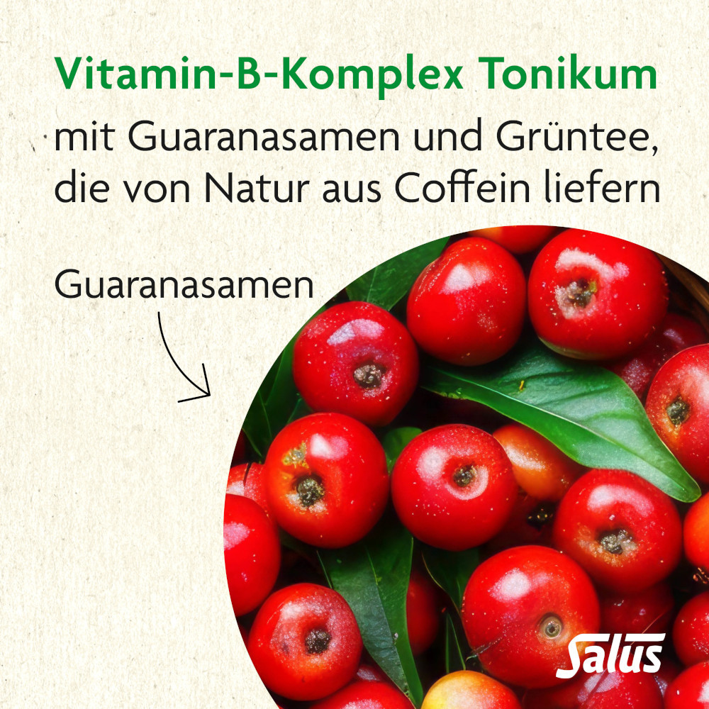 Salus Vitamin-B-Komplex Tonikum  250 ml Tonikum
