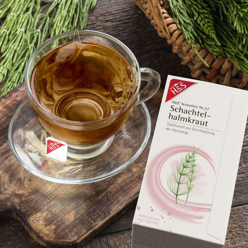 H&S Arzneitee Schachtelhalmkraut 20X2.0 g Filterbeutel