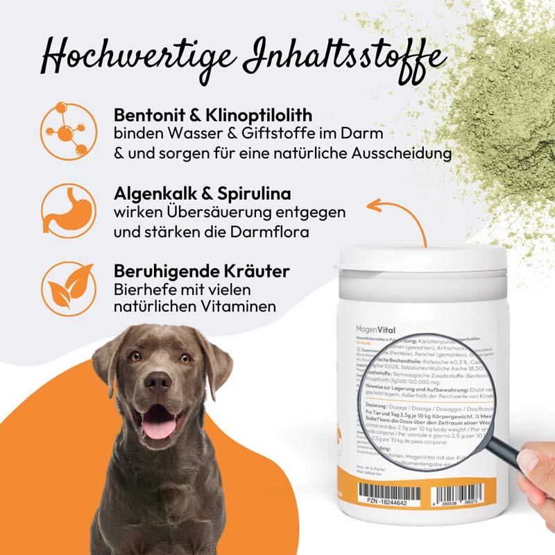 PHA Magenvital  200 g Pulver