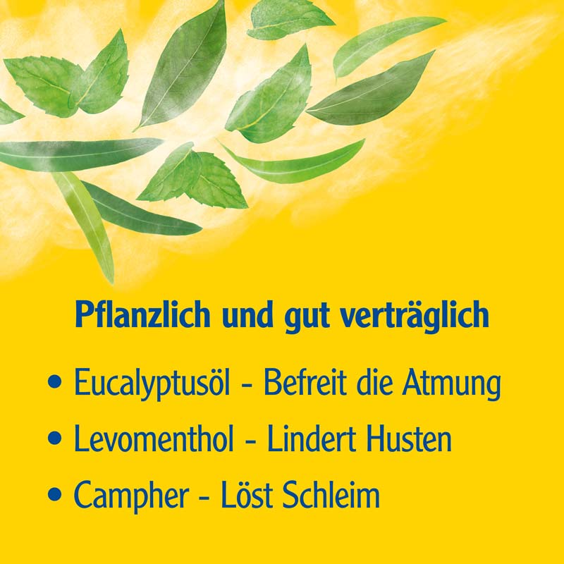 Pinimenthol Erkältungsbad ab 12 Jahren - mit Eucalyptusöl, Menthol und Campher 1000 ml Bad