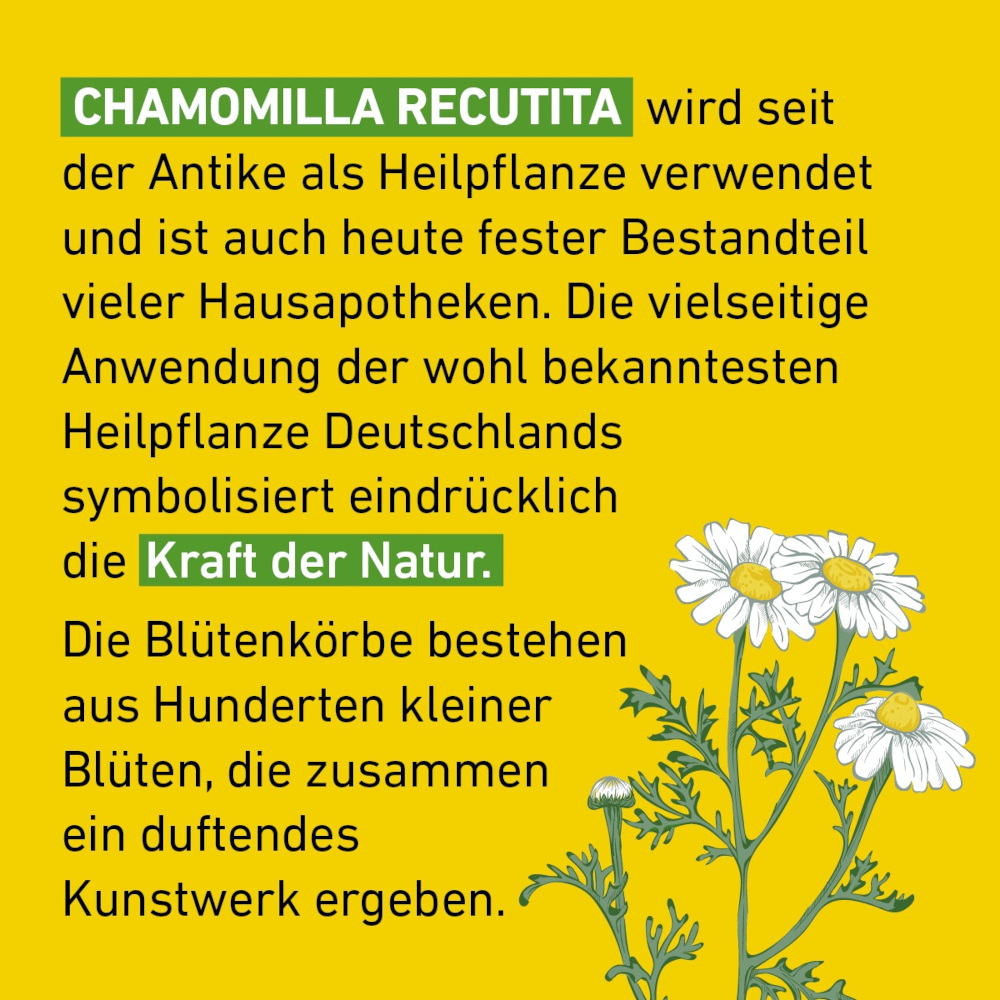 Chamomilla D6 Globuli Pflüger 10 g Globuli