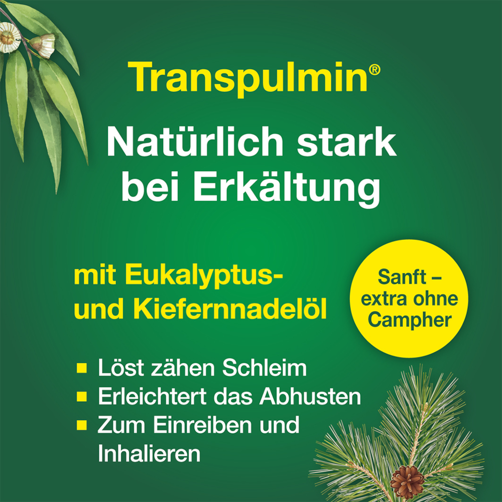 Transpulmin Erkältungsbalsam für Kinder 20 g Creme