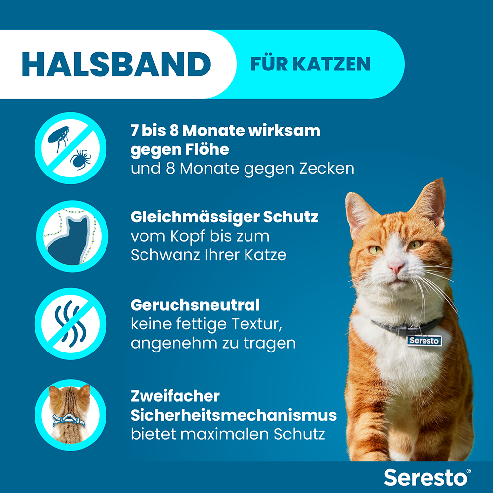 SERESTO HALSBAND F KATZEN 1 St Halsband
