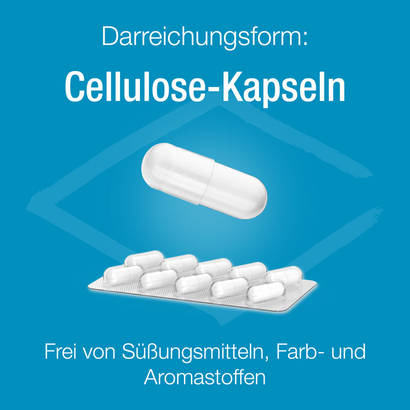 Magnesium Verla purKaps 90 St Kapseln