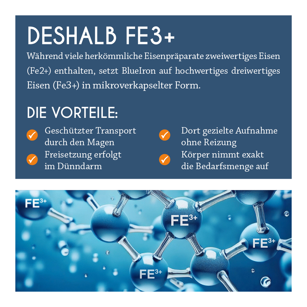 BLUE IRON EISEN PREGNANCY 250 ml Flüssigkeit zum Einnehmen