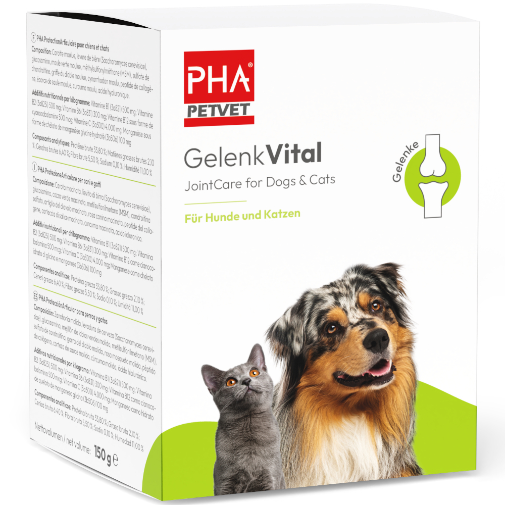 PHA GelenkVital 150 g Pulver
