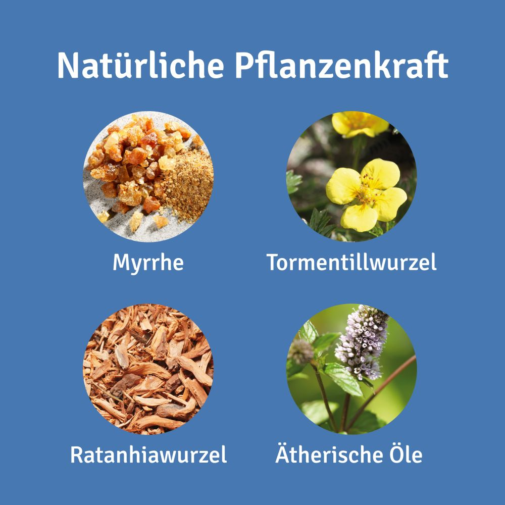 REPHA-OS Mund- & Rachenspray 30 ml Spray