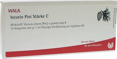 Iscucin Pini Stärke C Ampullen 10X1 ml Ampullen