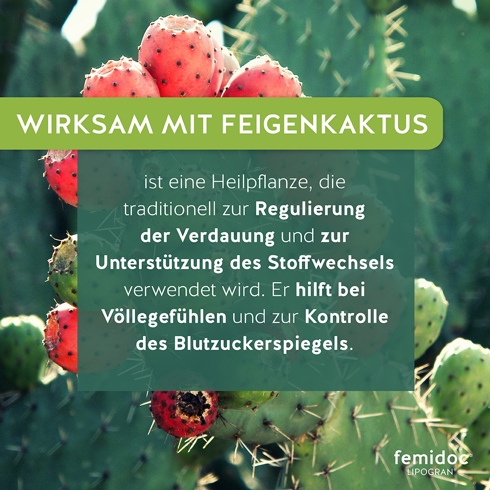 femidoc LIPOGRAN 180 St Tabletten