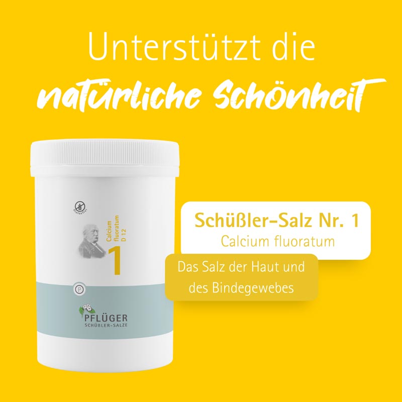 Schüßler-Salz Nr. 1 Calcium fluoratum D12 4000 St Tabletten