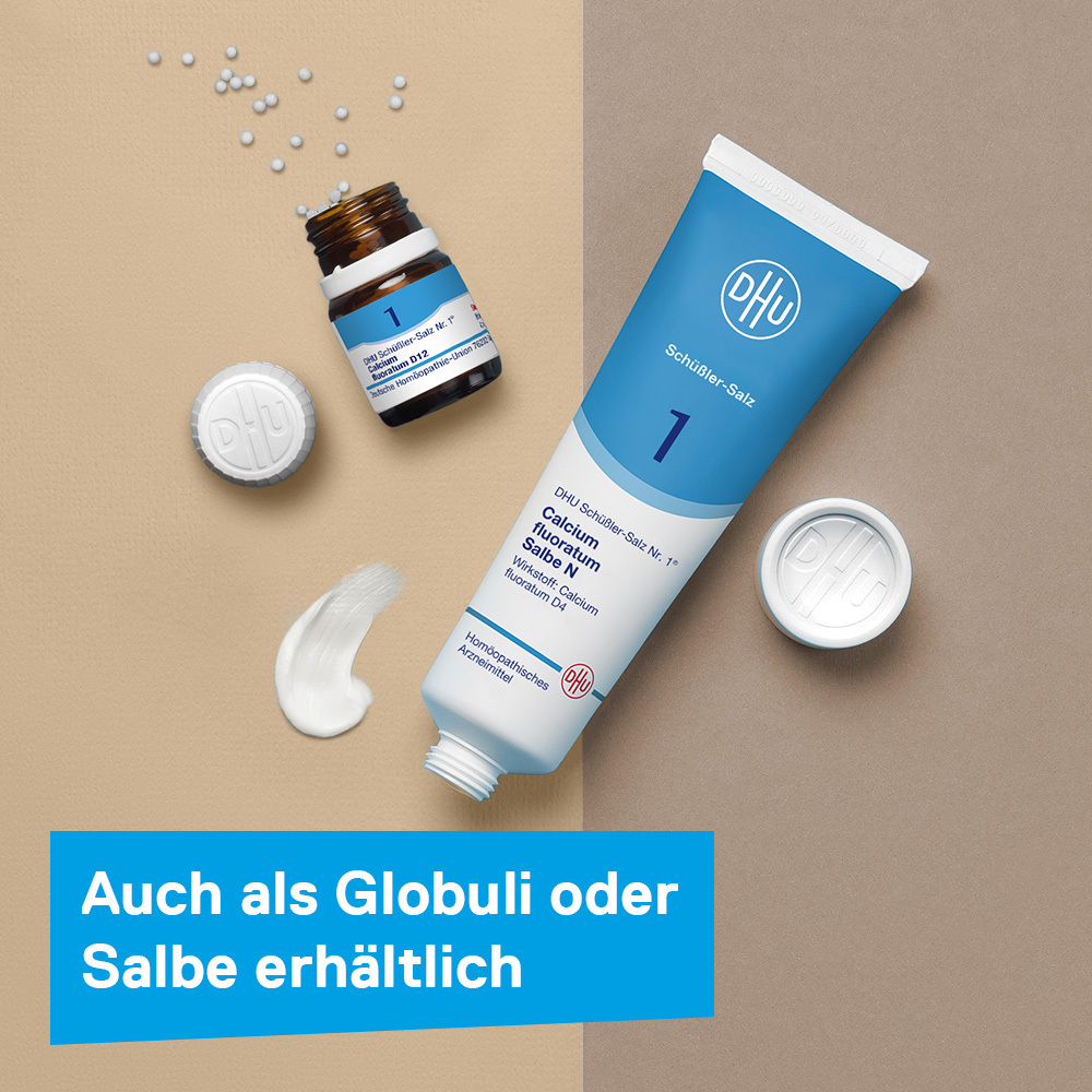 DHU Schüßler-Salz Nr. 1 Calcium fluoratum D12 900 St Tabletten