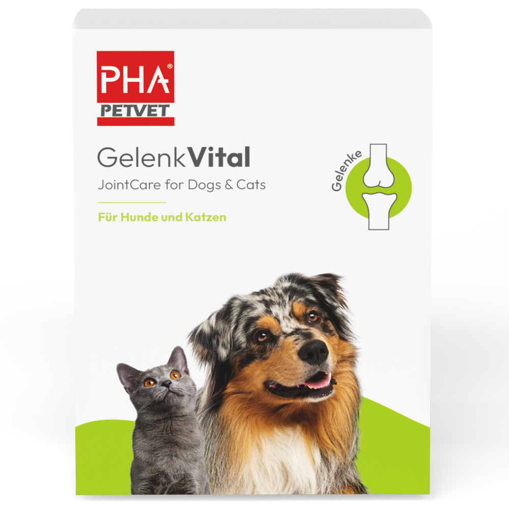 PHA GelenkVital 150 g Pulver