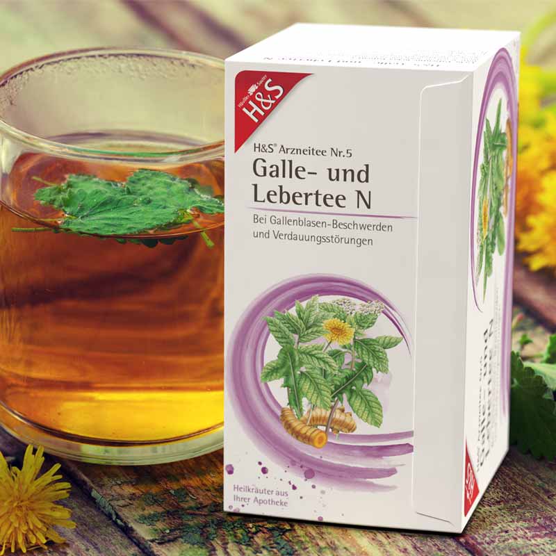 H&S Arzneitee Galle- und Lebertee N 20X2.0 g Filterbeutel