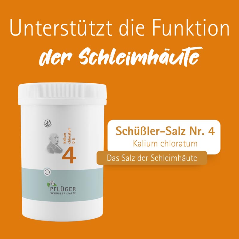Schüßler-Salz Nr. 4 Kalium chloratum D6 4000 St Tabletten