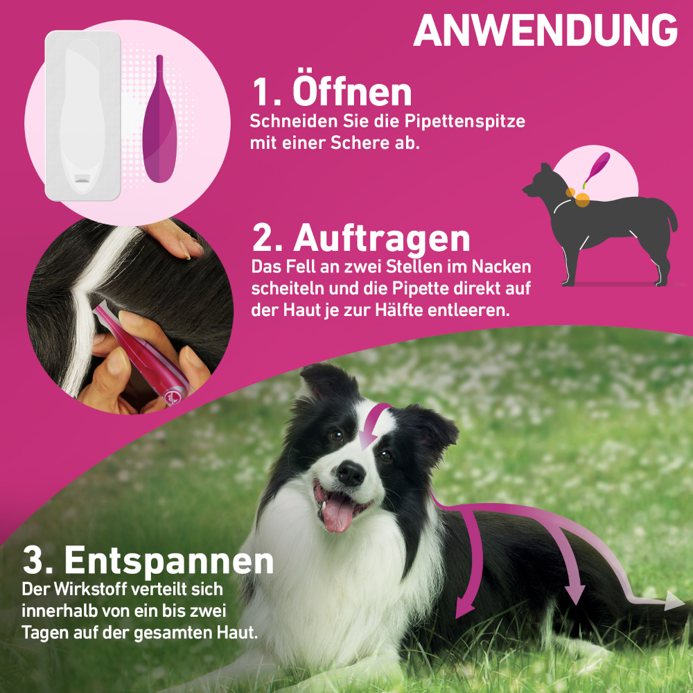 FRONTLINE TRI-ACT gegen Zecken, Flöhe & fliegende Insekten für Hunde L (20-40 kg)  3 St Lösung