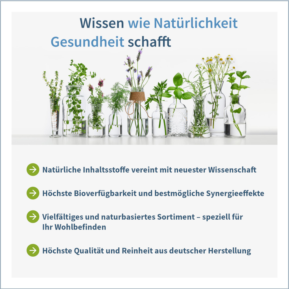 NatuGena L-Carnitin 1000 120 St Kapseln