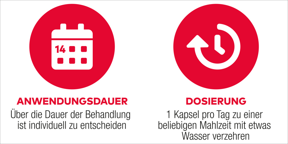 D3+K2 Vit AL 1000IE/80UG 90 St Kapseln