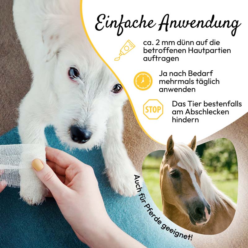 PHA HautRepair Tube für Hunde und Katzen 125 g Tube
