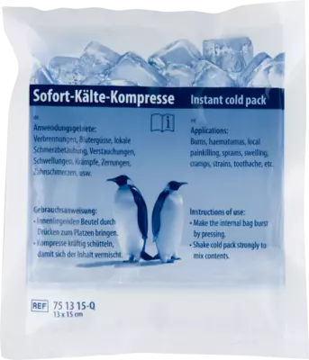 SOFORT KÄLTE Kompresse Quick 13x15 cm 1 St Kompressen