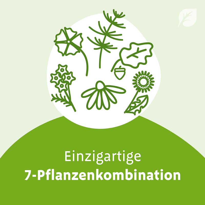 IMUPRET N Tropfen 50 ml Tropfen