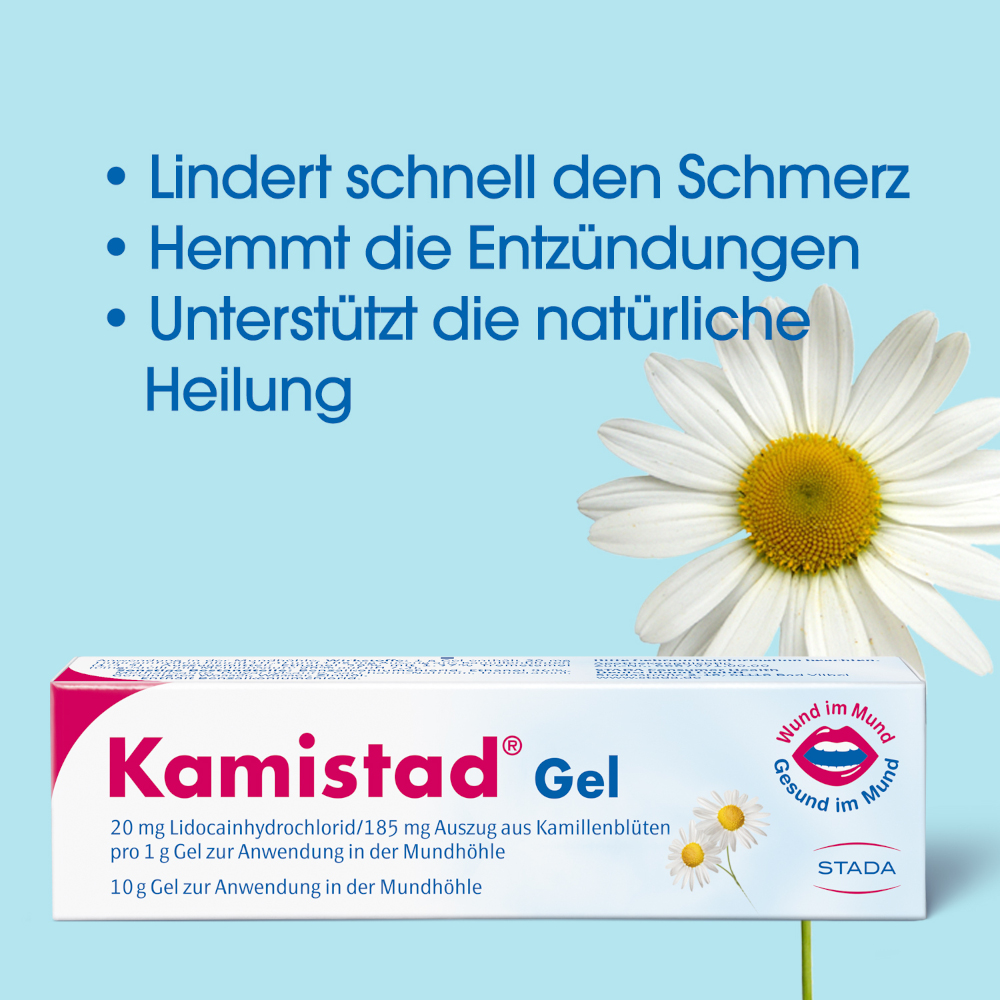 Kamistad Gel 10 g Gel