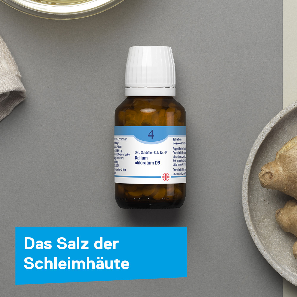 DHU Schüßler-Salz Nr. 4 Kalium chloratum D6 900 St Tabletten