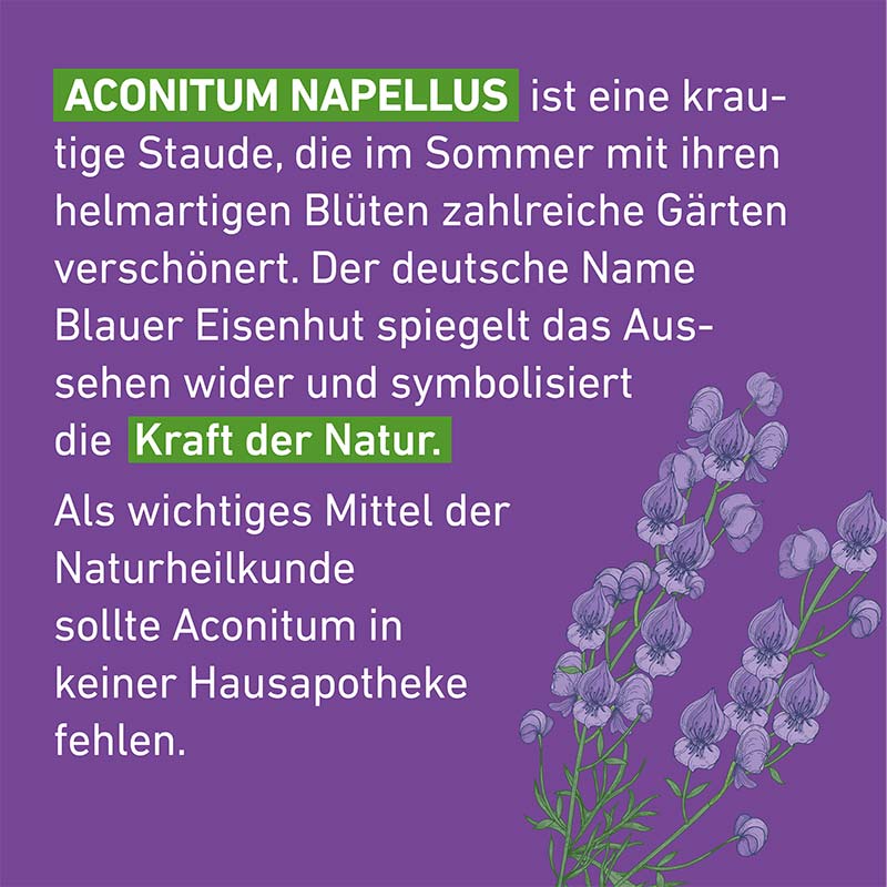 Aconitum D6 Globuli Pflüger 10 g Globuli