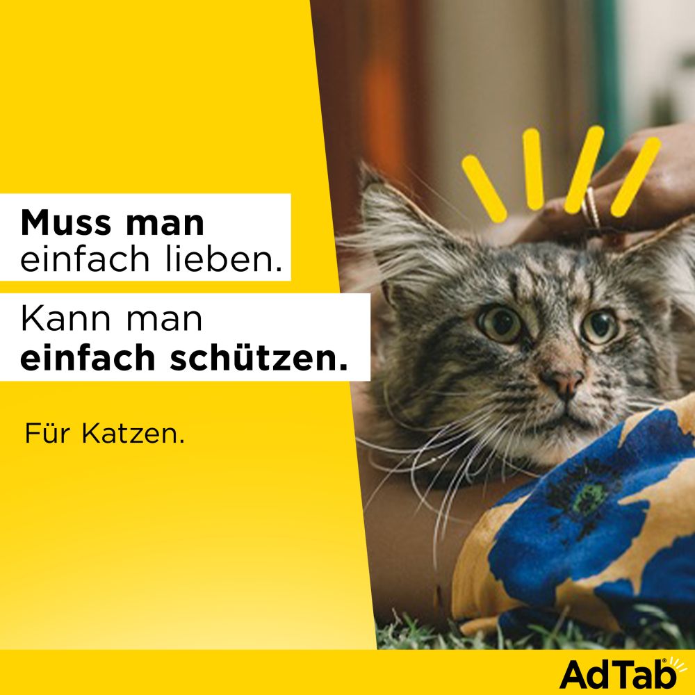 ADTAB 48MG KATZE 2-8KG 3 St Kautabletten