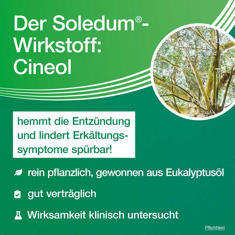 Soledum 100mg 50 St Kapseln magensaftresistent