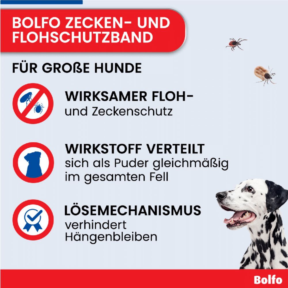 BOLFO HB GR. 1 St Halsband