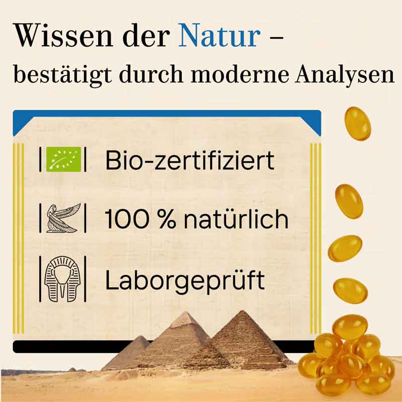 SCHWARZKÜMMEL BIO vegan Kapseln 120 St Kapseln