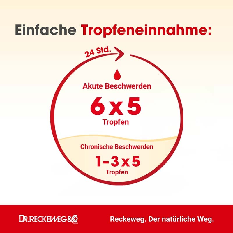 HAUT GASTREU R60 Tropfen zum Einnehmen 50 ml Mischung