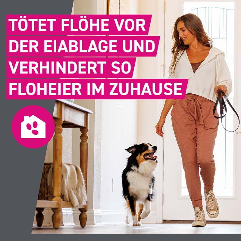 FRONTLINE TRI-ACT gegen Zecken, Flöhe und fliegende Insekten für Hunde S (5-10 kg)  6 St Lösung