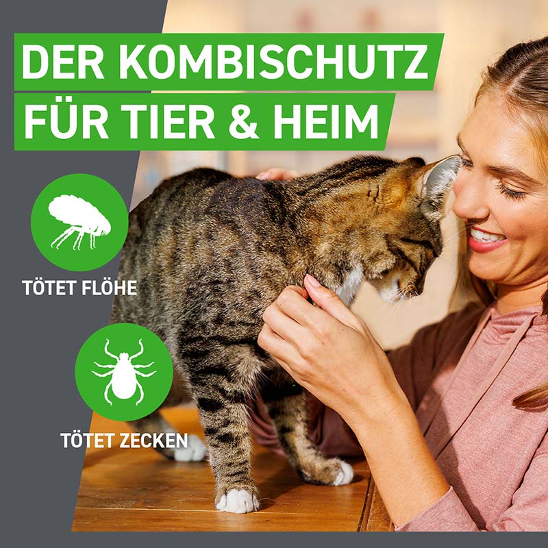 FRONTLINE COMBO 3 Stk. der Kombischutz für Tier und Heim gegen Zecken, Flöhe und Haarlinge bei Katzen und Frettchen 3 St Lösung