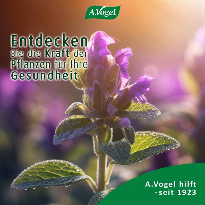Menosan Salvia A. Vogel 90 St Tabletten