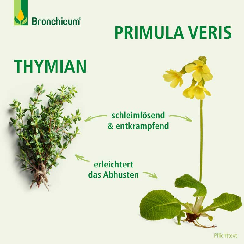 Bronchicum Tropfen 30 ml Tropfen