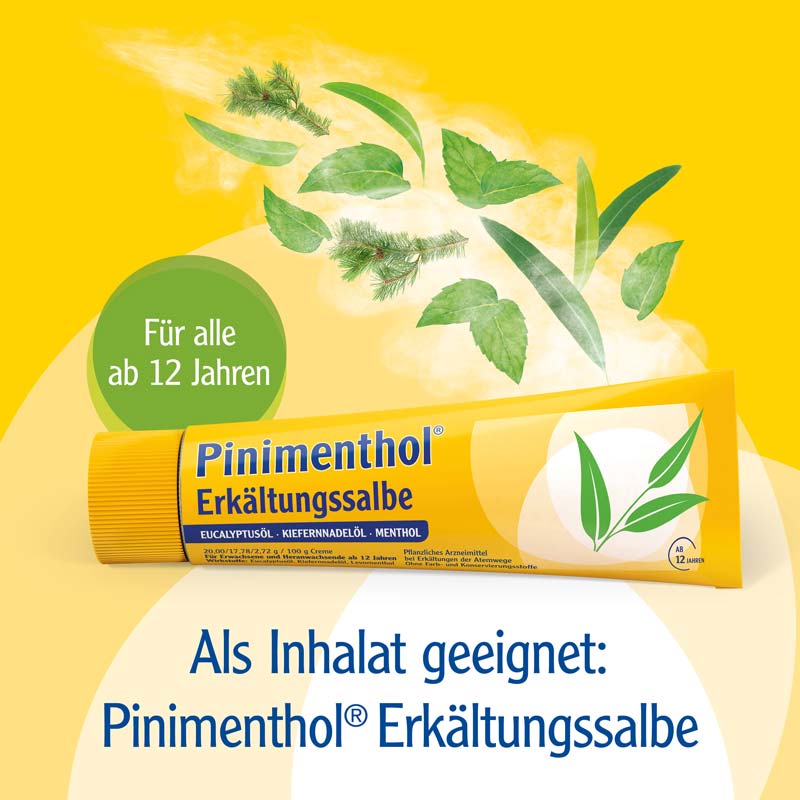PINIMENTHOL Inhalator 1 St