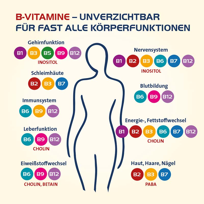 VITAMIN B COMPLETE HEVERT ALL-IN-ONE 120 St Kapseln