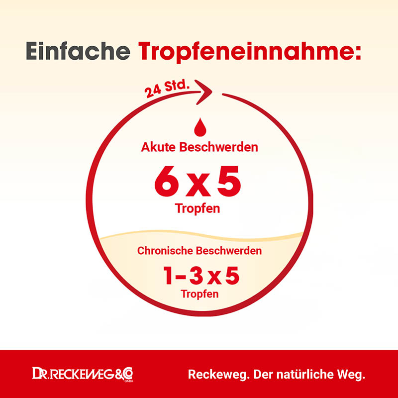 HYPOTONIE GASTREU R 44 Tropfen zum Einnehmen 22 ml Mischung