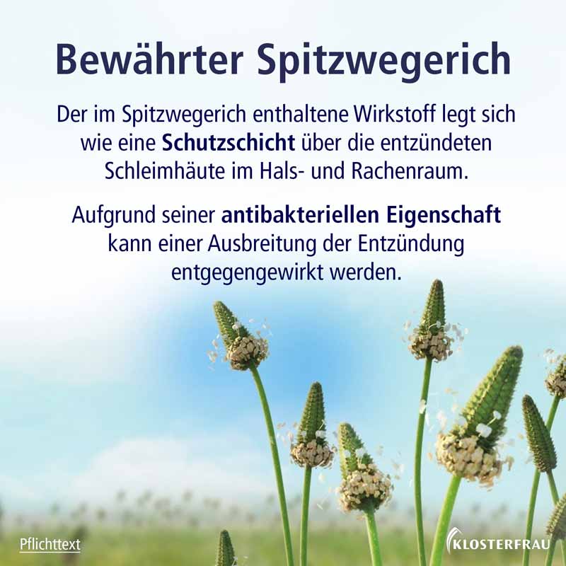 KLOSTERFRAU Hustensaft 240 g Saft