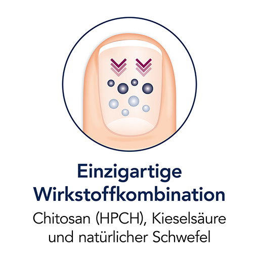 Sililevo Hydrolack 3.3 ml Lösung