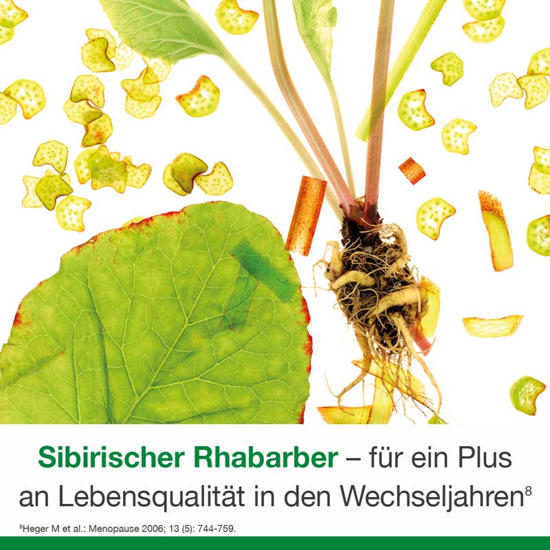 femiLoges  90 St Tabletten magensaftresistent