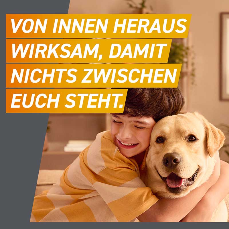 FRONTPRO Kautabletten Hunde >25 - 50 kg Doppelpack 2X3 St Kautabletten