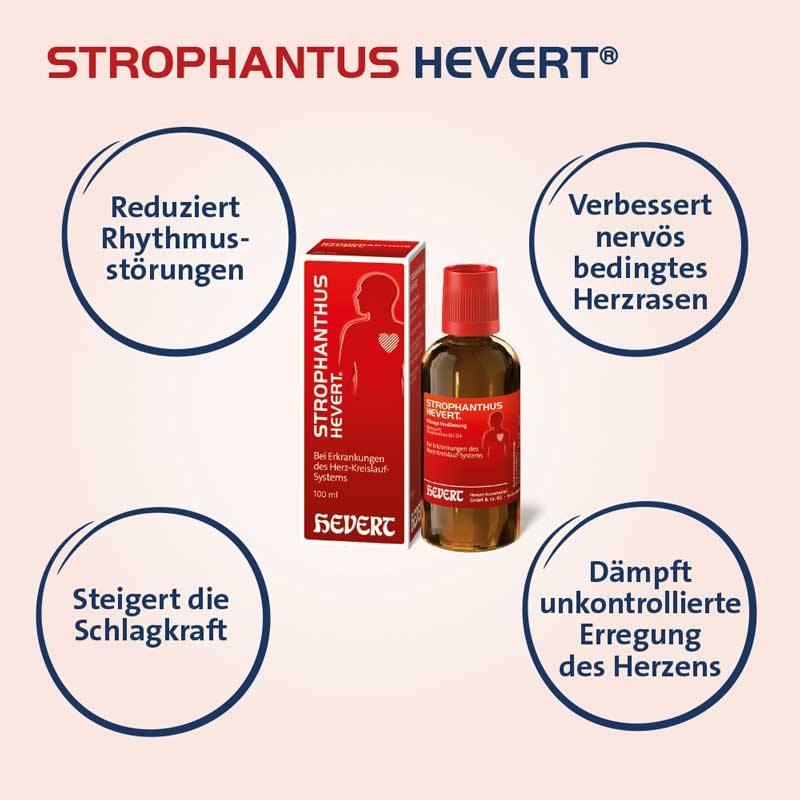 STROPHANTHUS HEVERT Tropfen 100 ml Tropfen