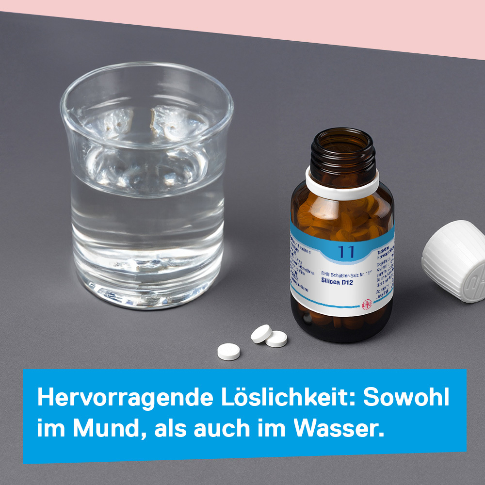 DHU Schüßler-Salz Nr. 11 Silicea D6 200 St Tabletten
