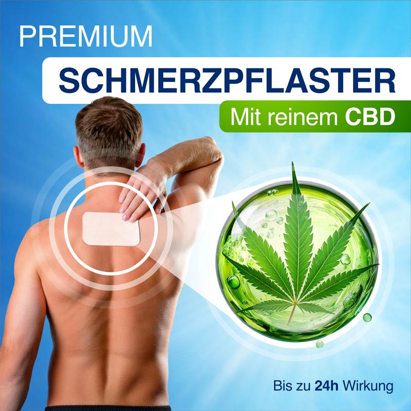 GELENCIUM Schmerzpflaster mit CBD 6 St Pflaster