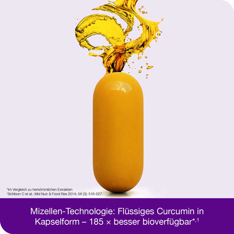 curcumin-Loges arthro plus UC-II 120 St Kapseln