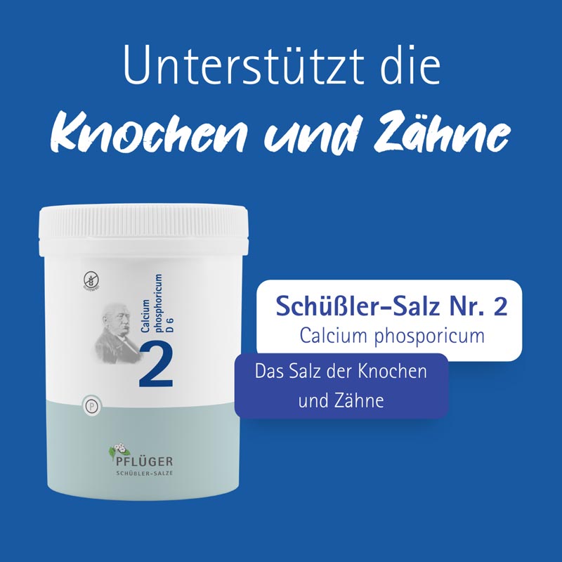 Schüßler-Salz Nr. 2 Calcium phosphoricum D6 1000 St Tabletten